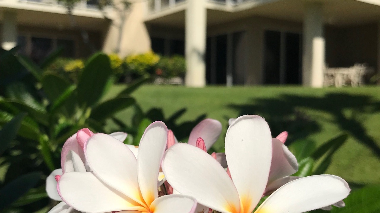 Photo of Others in Waikoloa