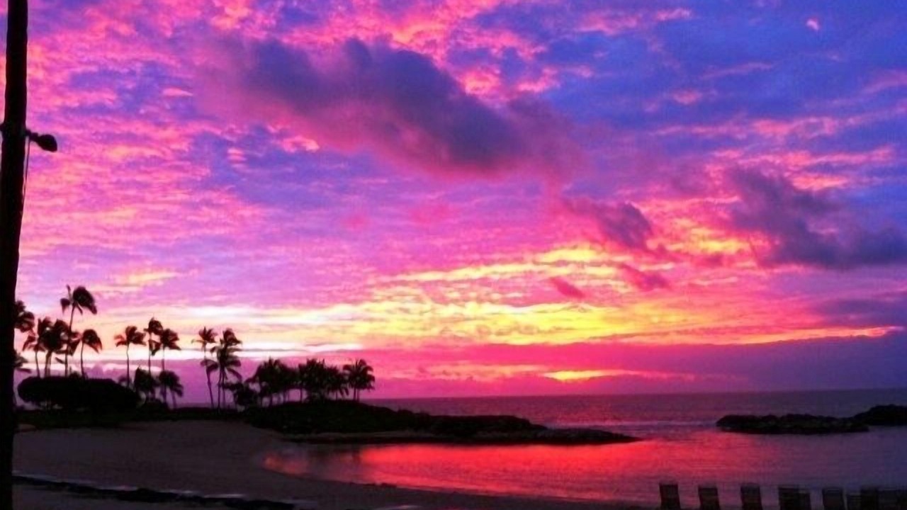 Photo of Others in Ko Olina