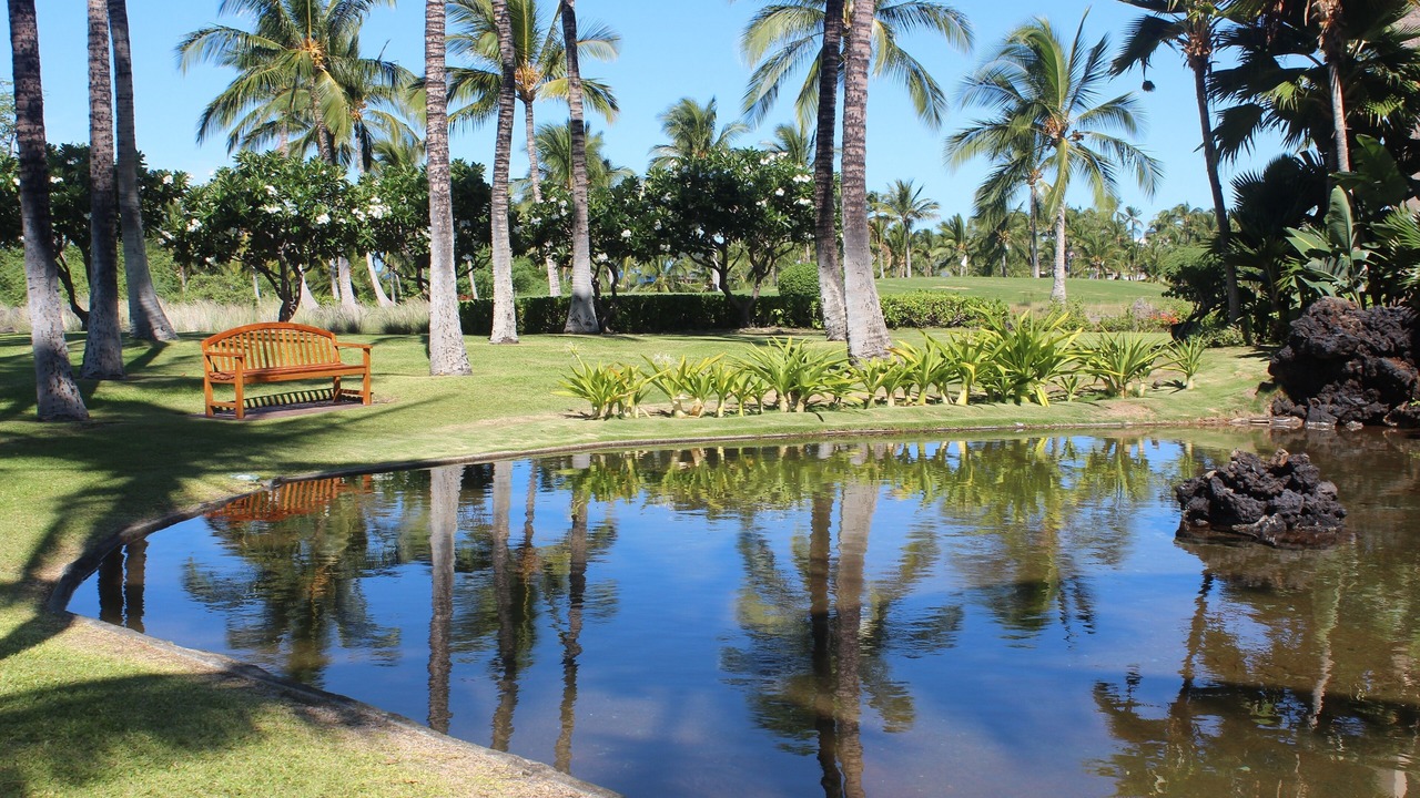 Photo of Others in Waikoloa