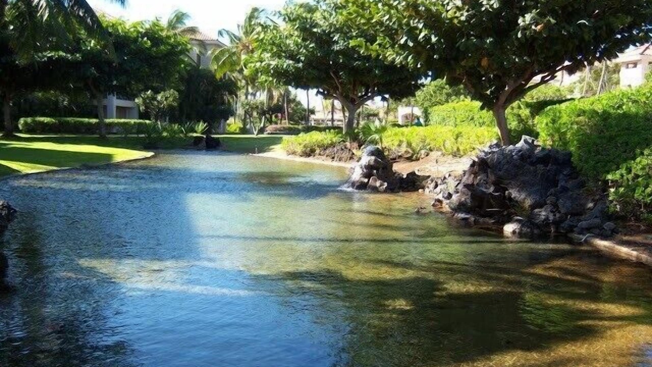 Photo of Others in Waikoloa