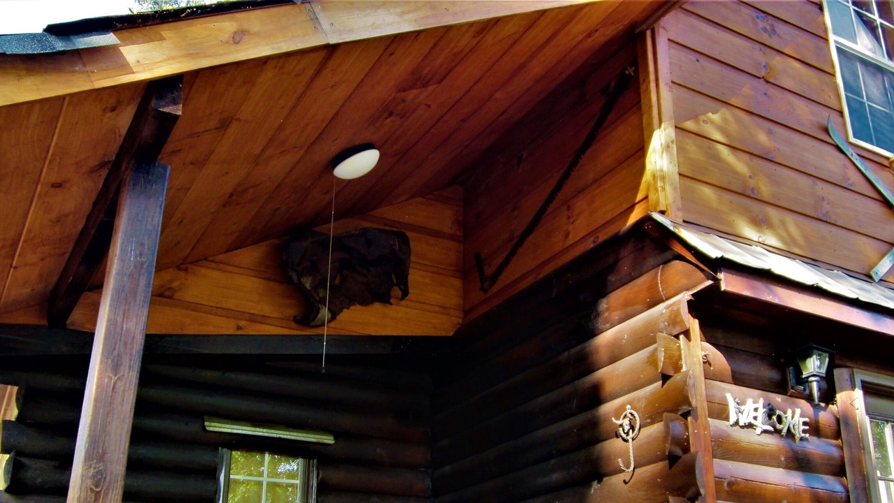 Photo of Outdoor in Rutherfordton