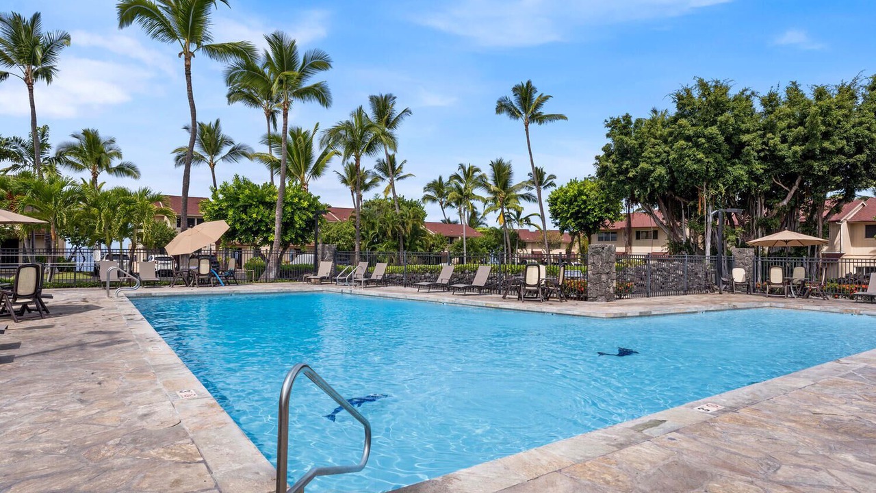 Photo of Outdoor in Kahaluu Bay