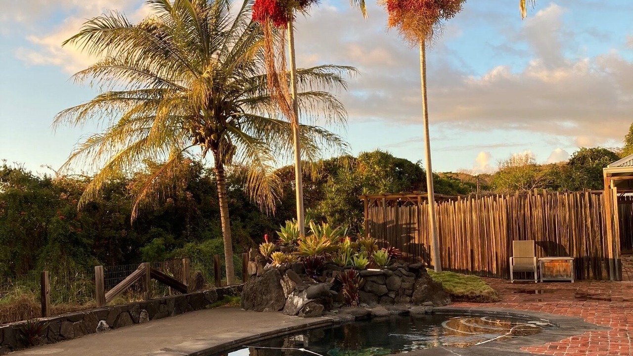 Photo of Outdoor in Captain Cook