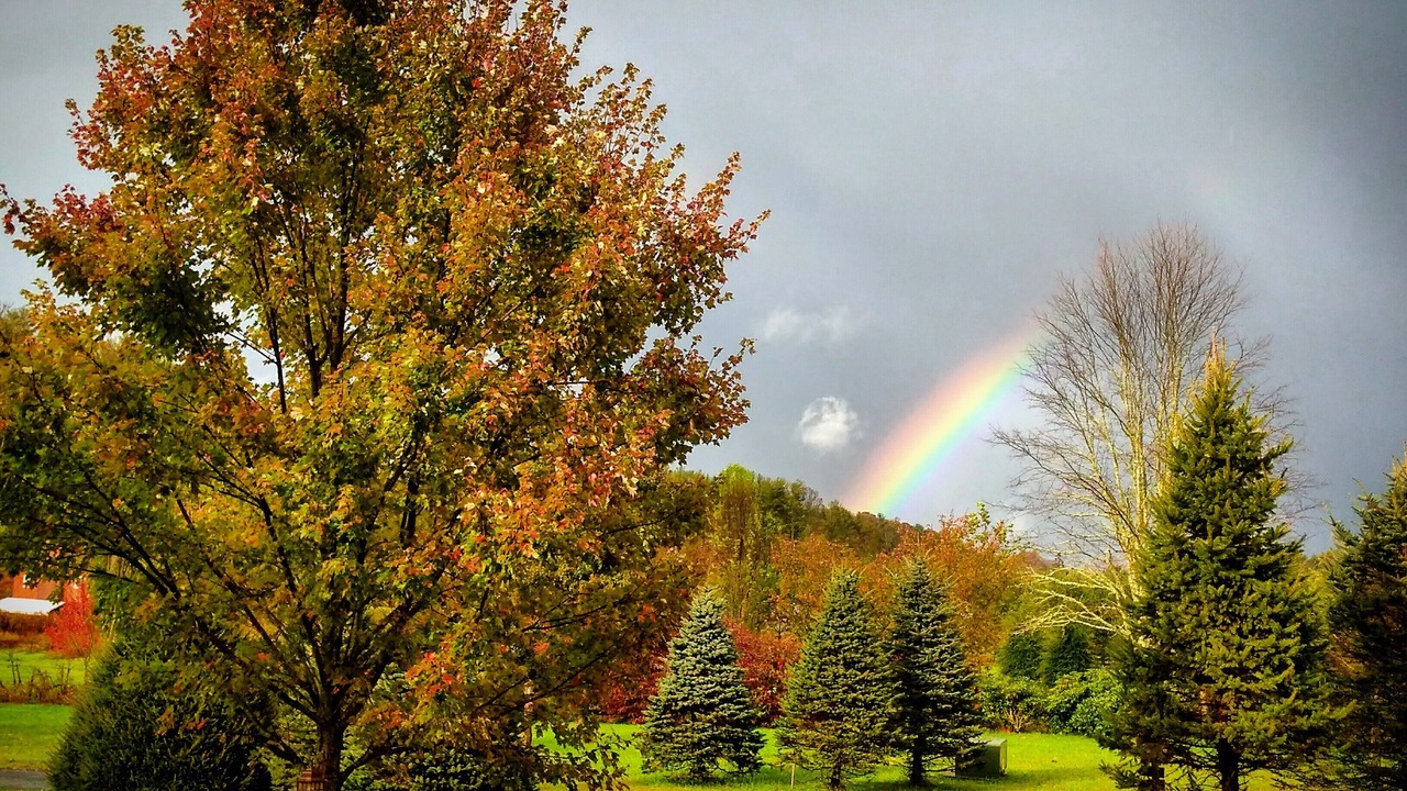 Photo of Outdoor in Altamont