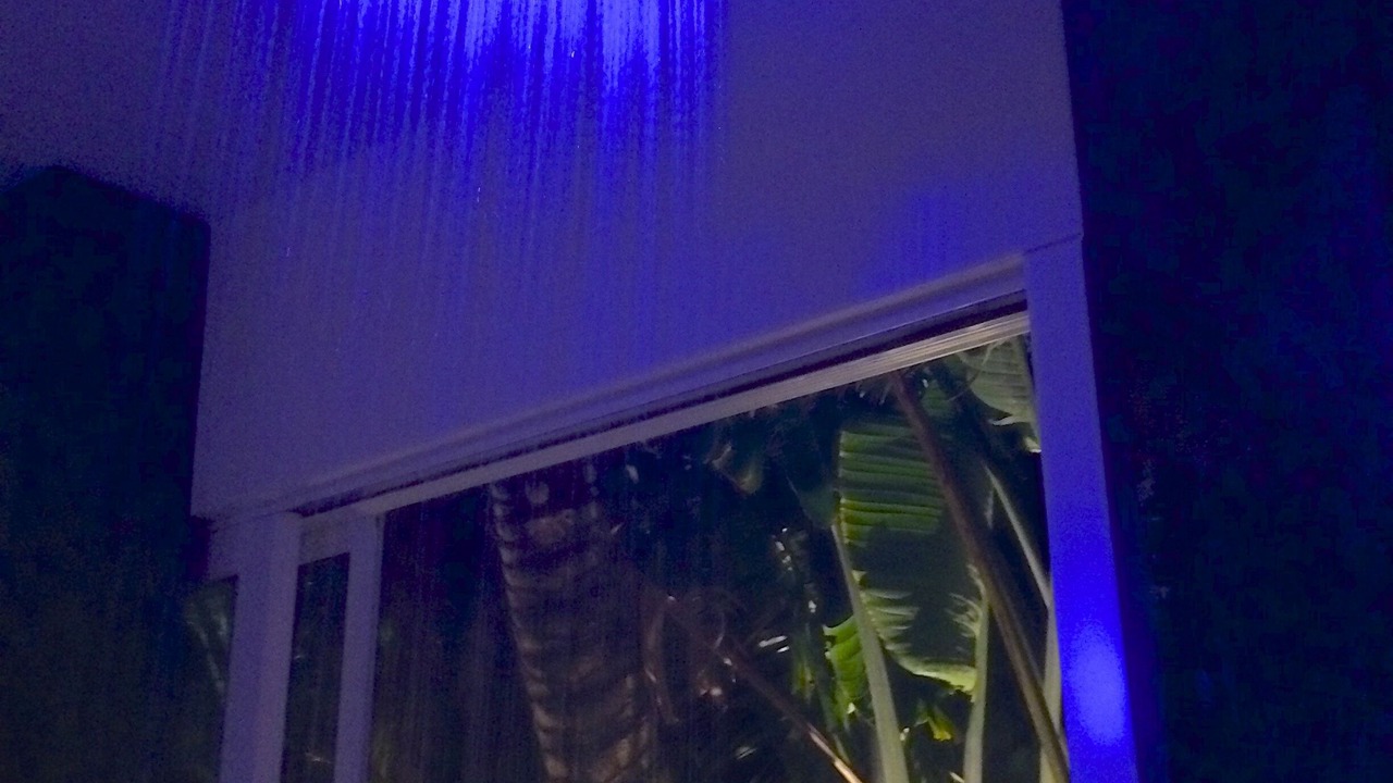 Photo of Outdoor in Nuuanu - Punchbowl