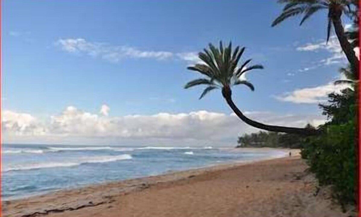 Photo of Others in Hauula
