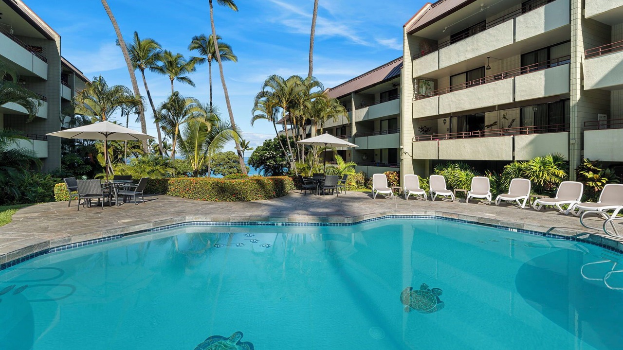 Photo of Outdoor in Kahaluu Bay