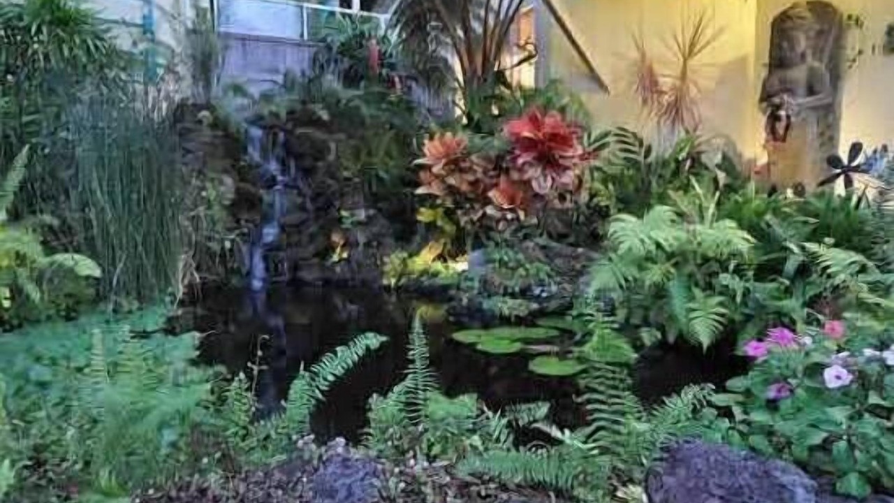 Photo of Outdoor in Kalaoa