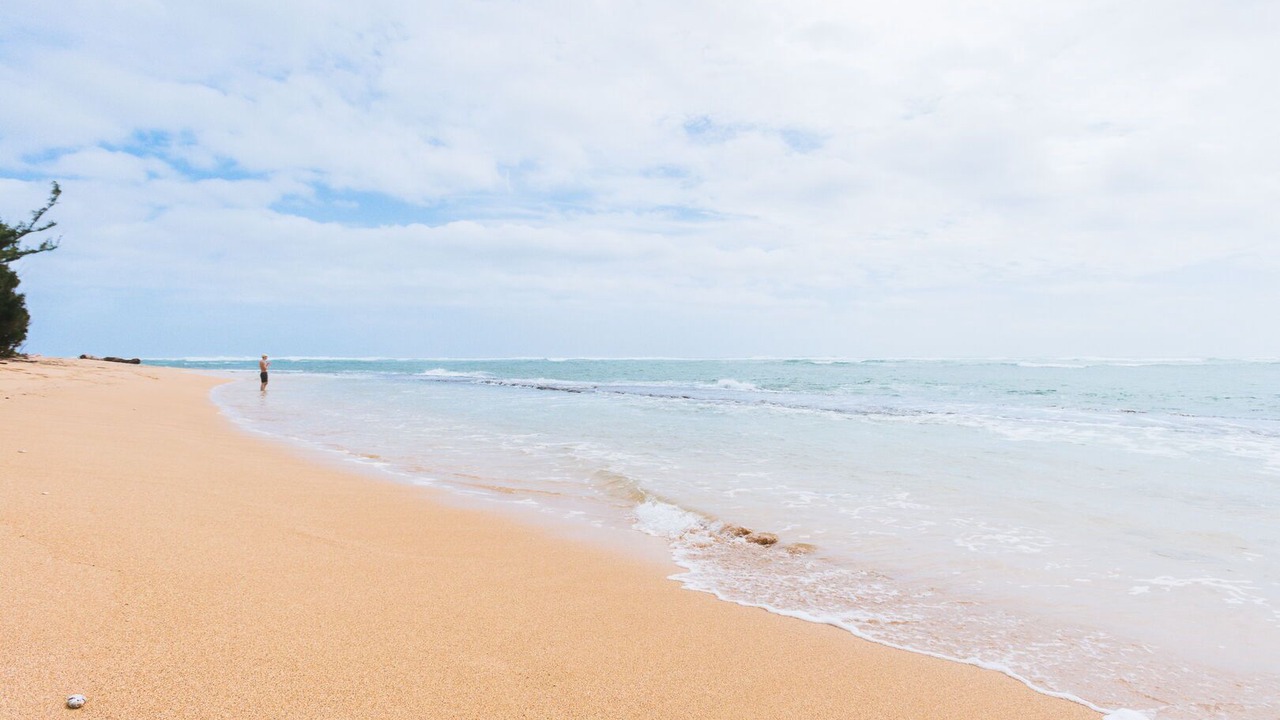 Photo of Others in Kapaa