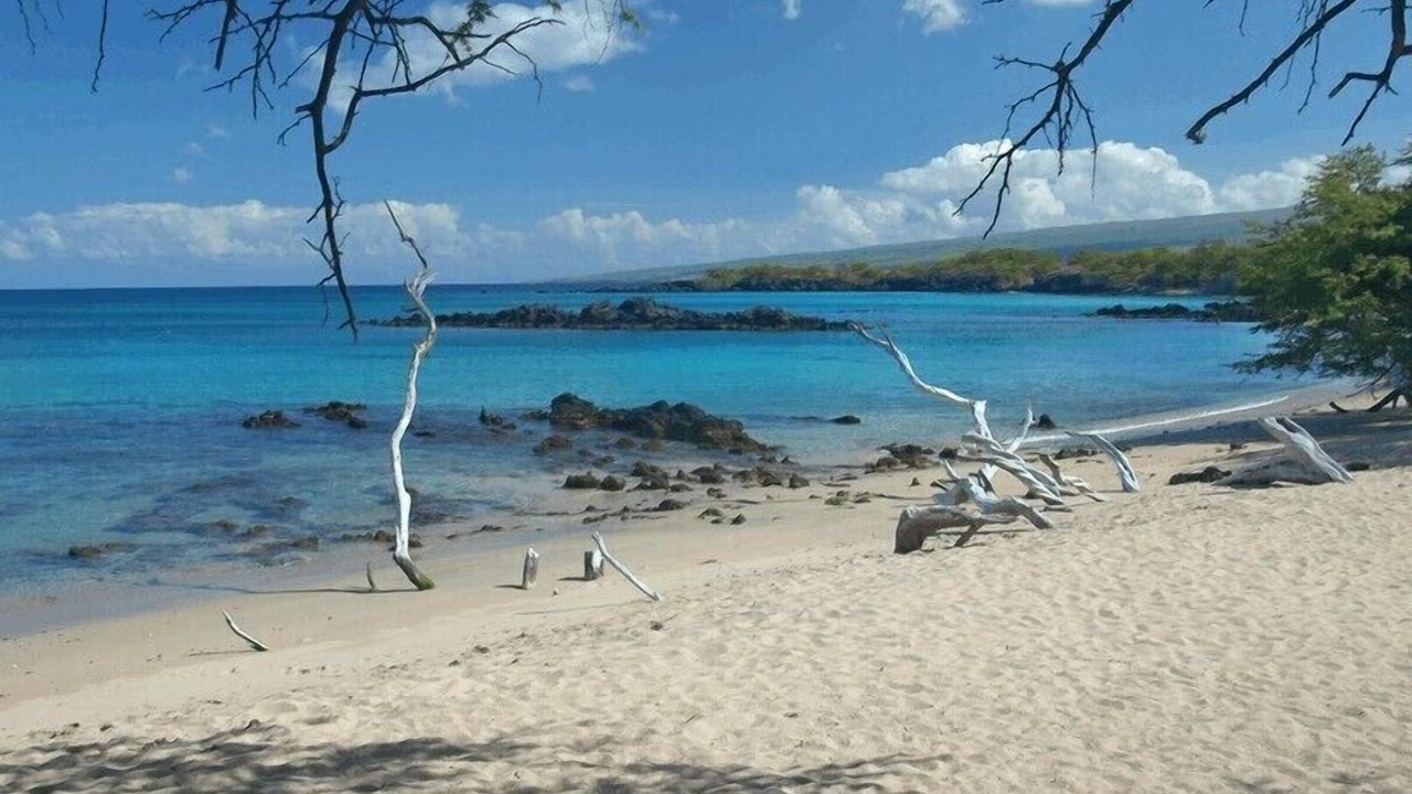 Photo of Others in Puako