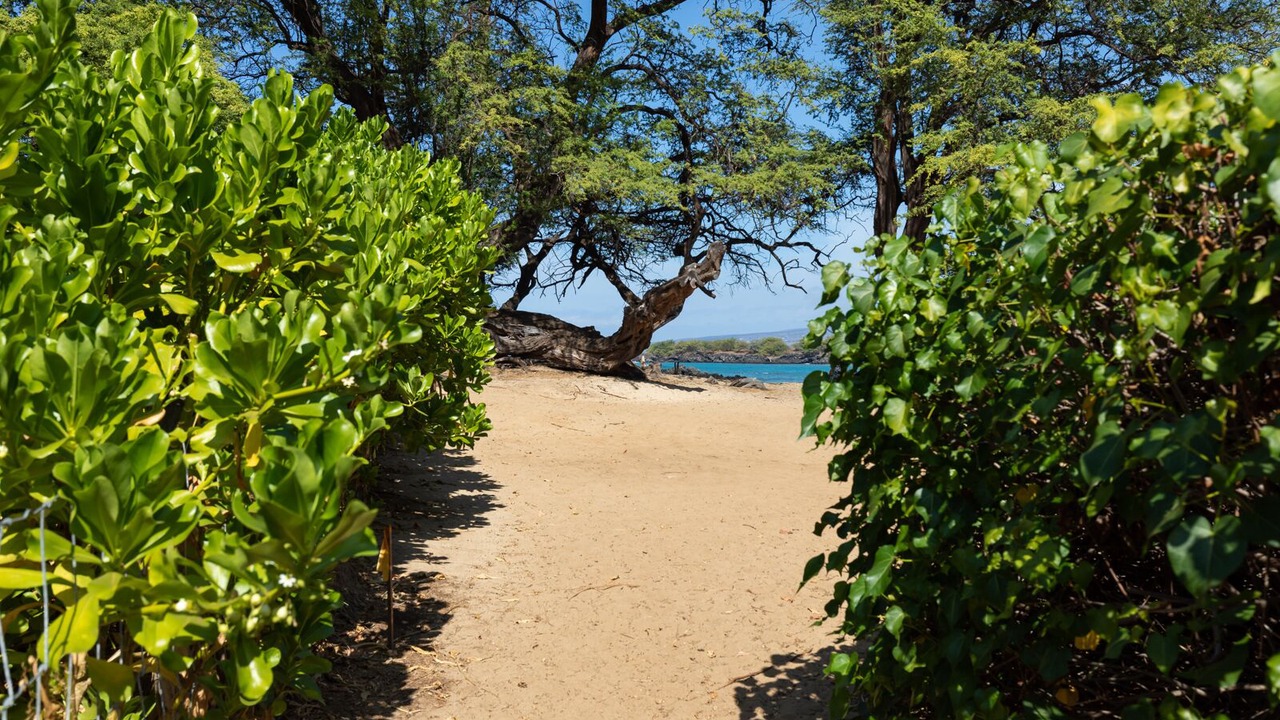Photo of Others in Puako