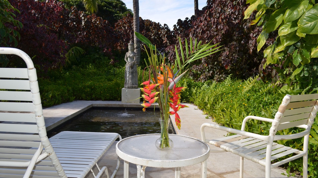 Photo of Outdoor in Haiku