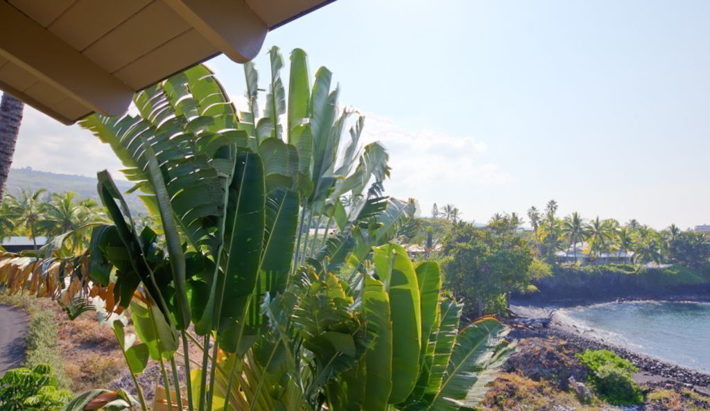 Photo of Others in Keauhou