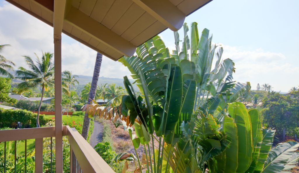 Photo of Others in Keauhou