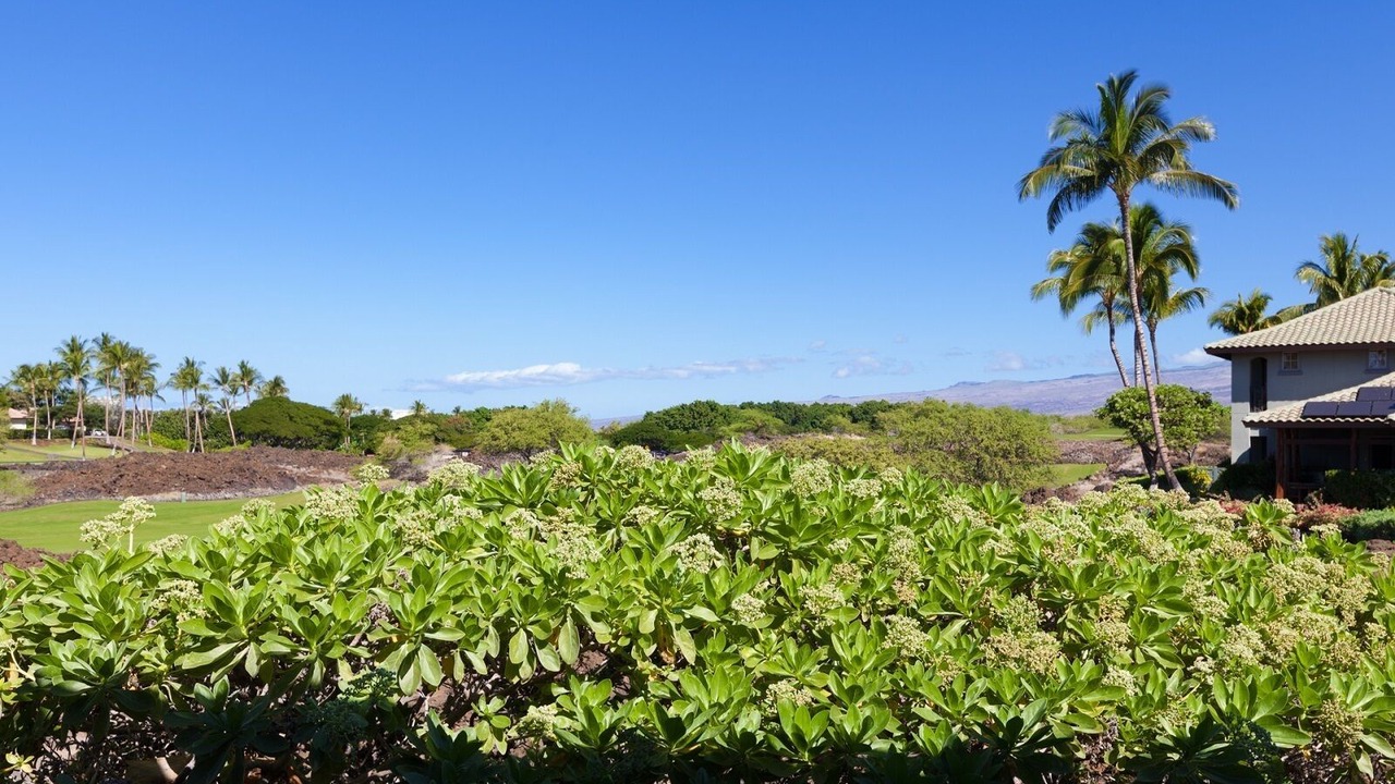 Photo of Others in Kamuela