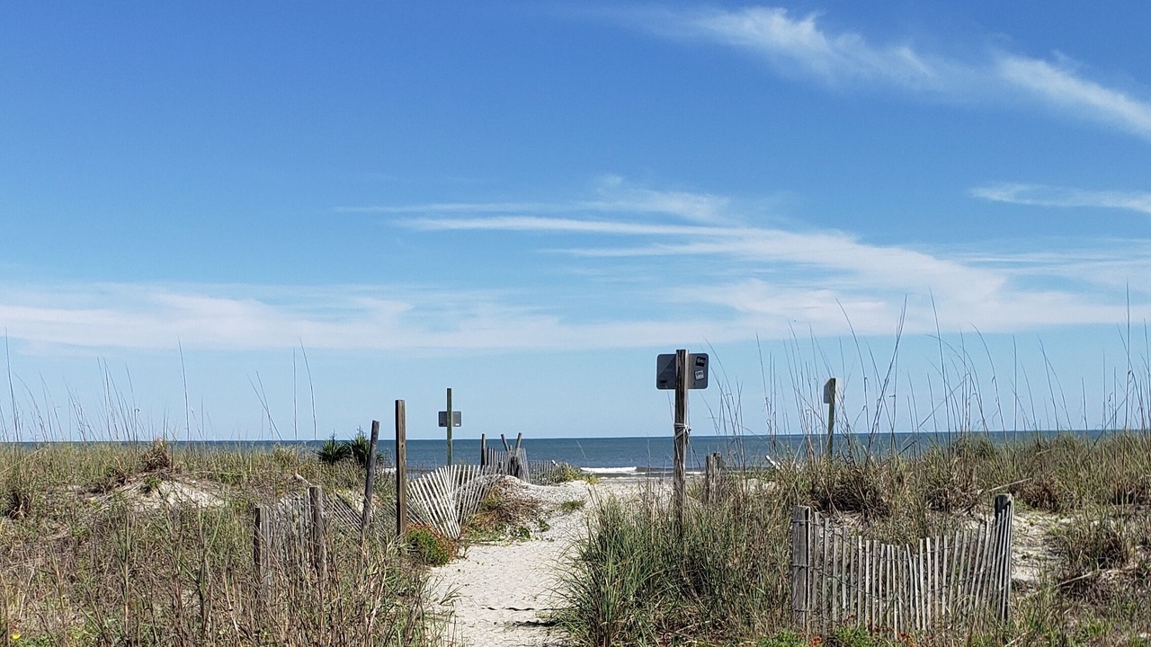 Photo of Others in Folly Beach