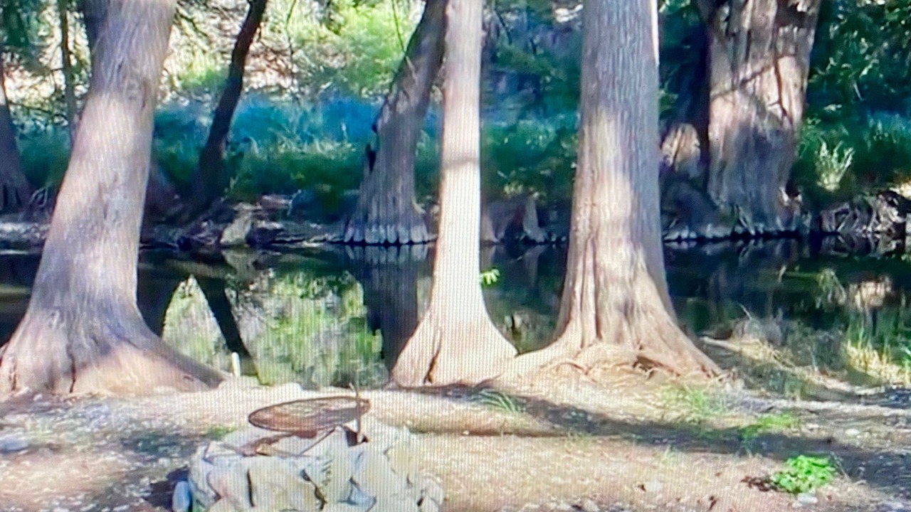 Photo of Others in Leakey