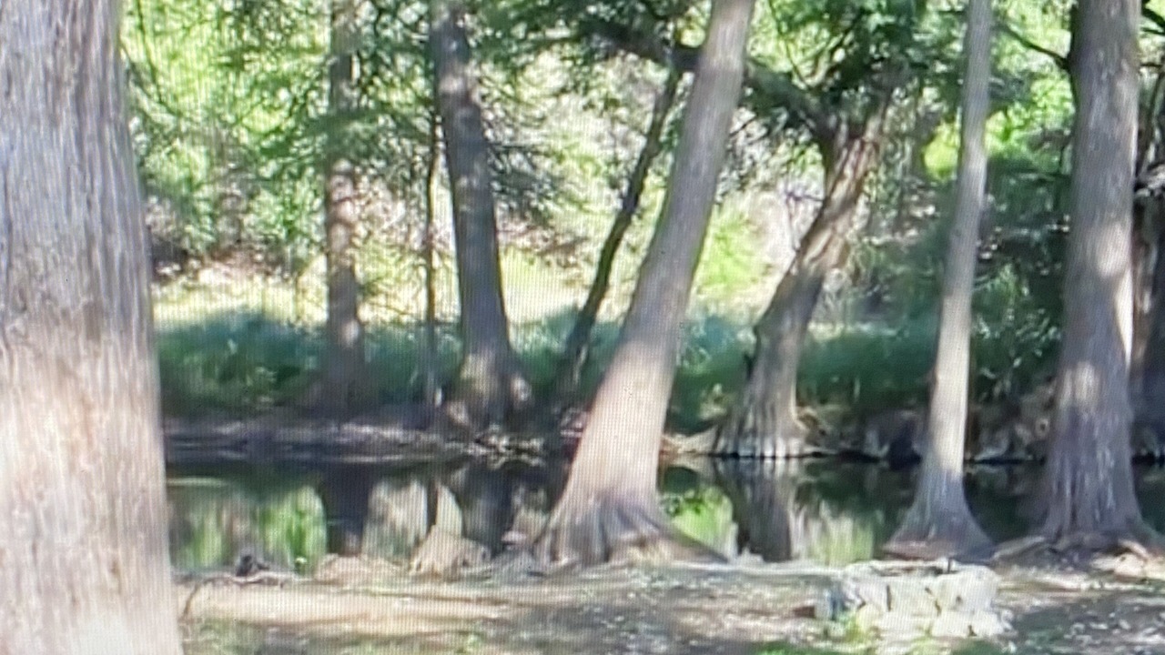 Photo of Outdoor in Leakey
