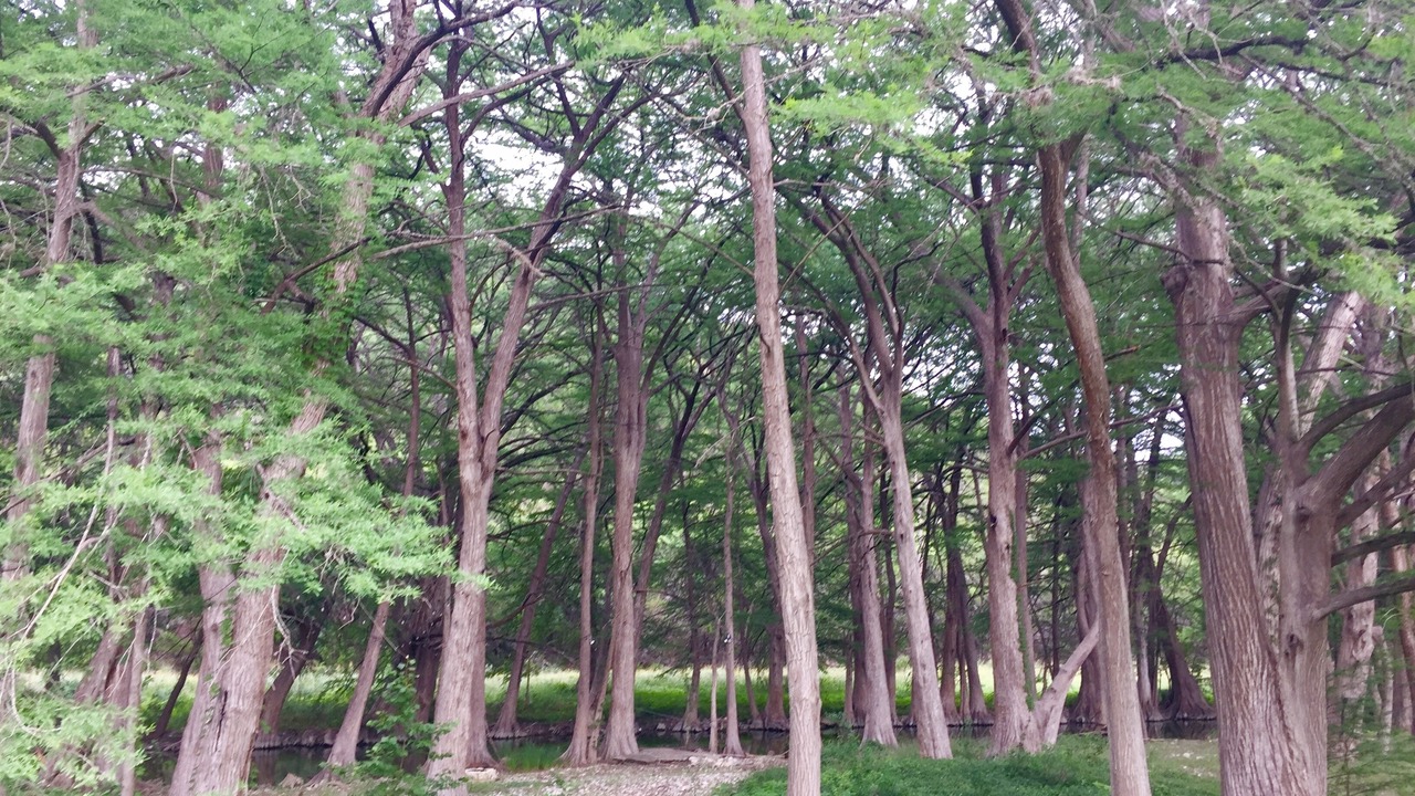 Photo of Outdoor in Leakey