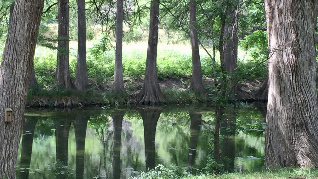 Photo of Others in Leakey