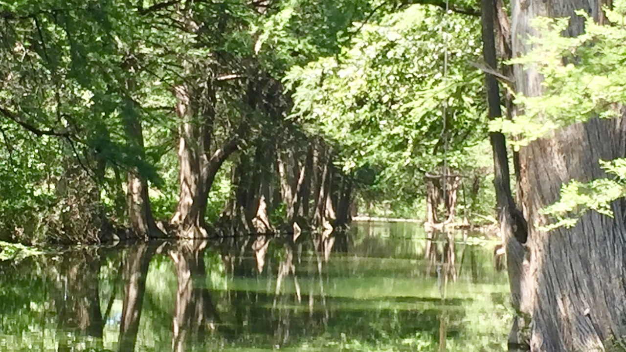 Photo of Others in Leakey