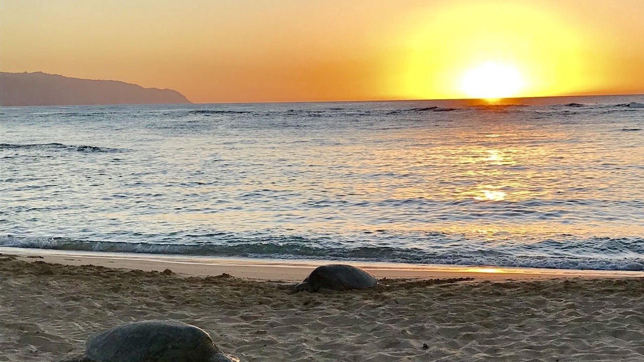 Photo of Others in Makaha