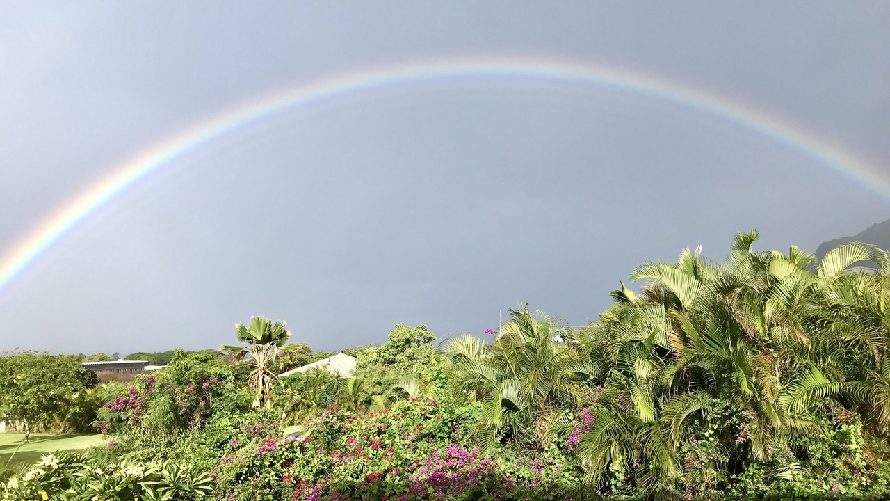 Photo of Others in Makaha