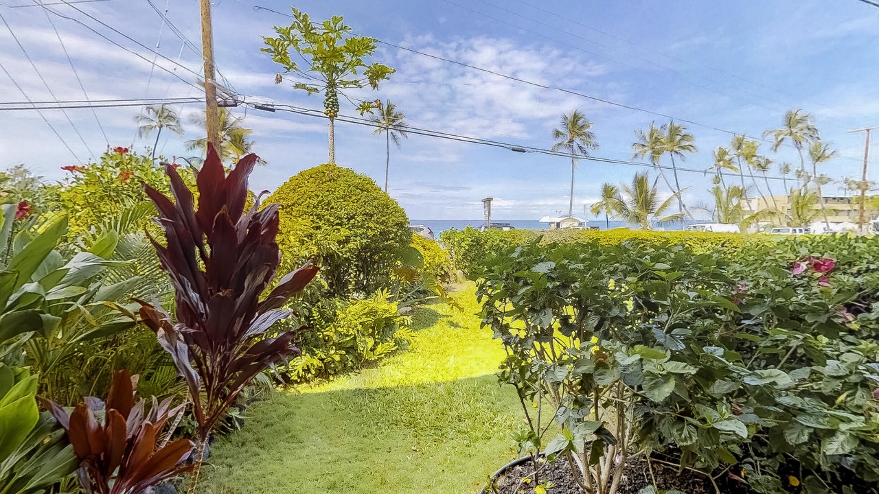 Photo of Others in Kahaluu Bay
