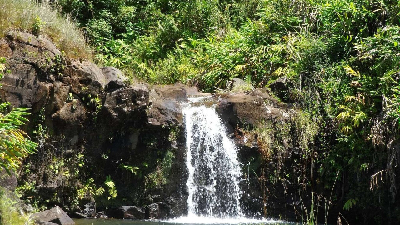 Photo of Others in Hilo