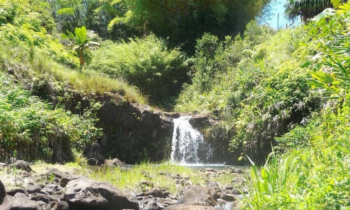 Photo of Others in Hilo