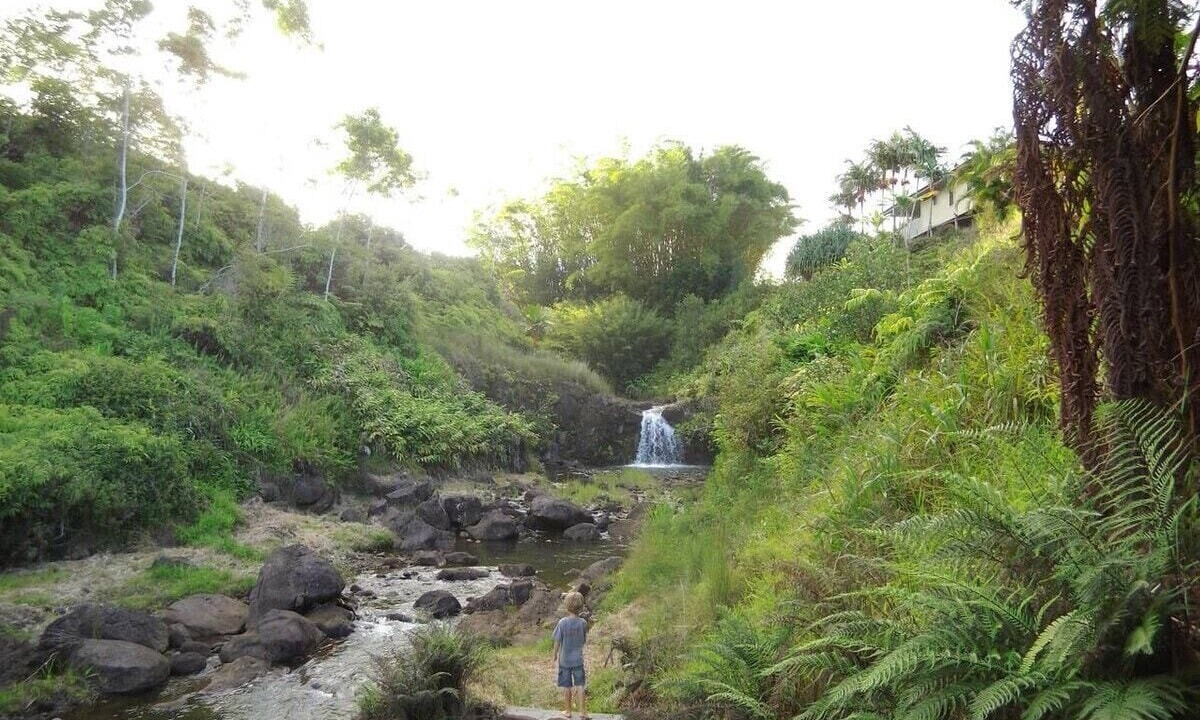 Photo of Others in Hilo