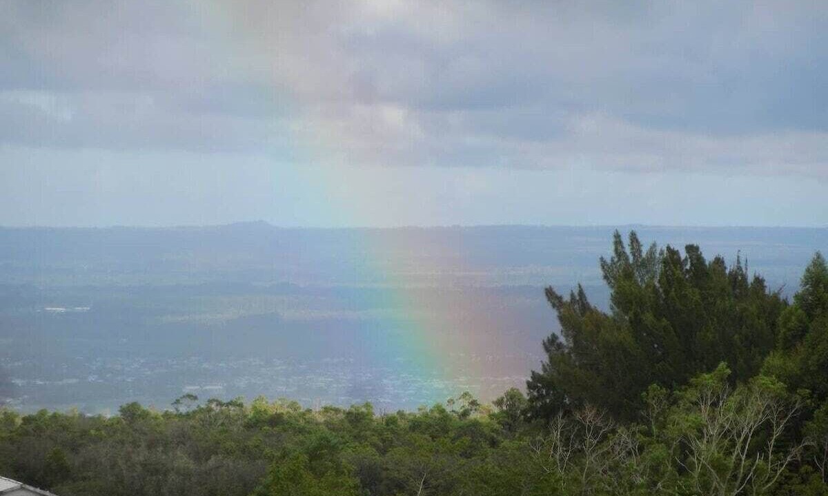 Photo of Others in Hilo