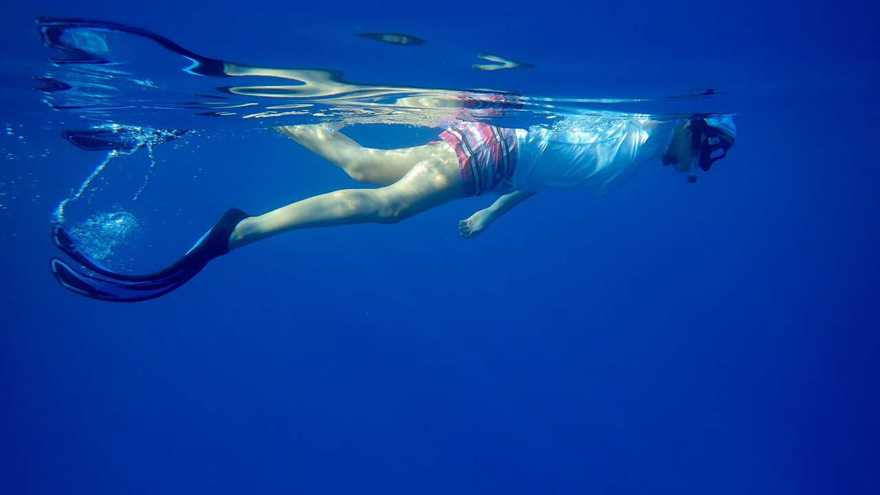 Photo of Others in Honaunau-Napoopoo