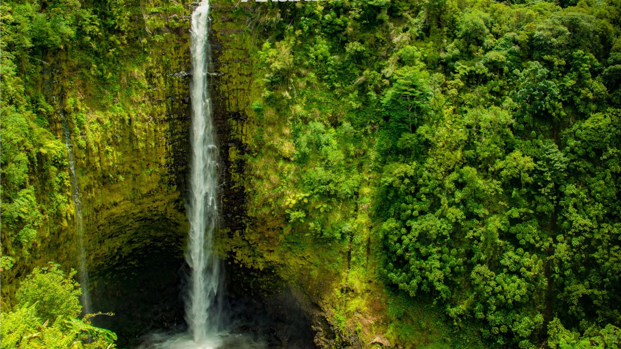 Photo of Outdoor in Honaunau-Napoopoo
