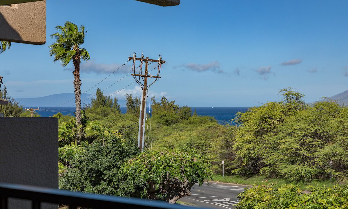 Photo of Others in Kihei