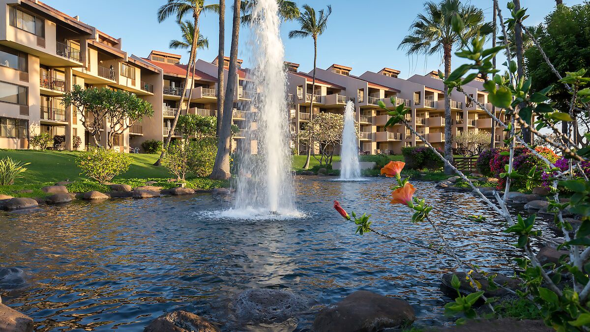 Photo of Others in Kihei