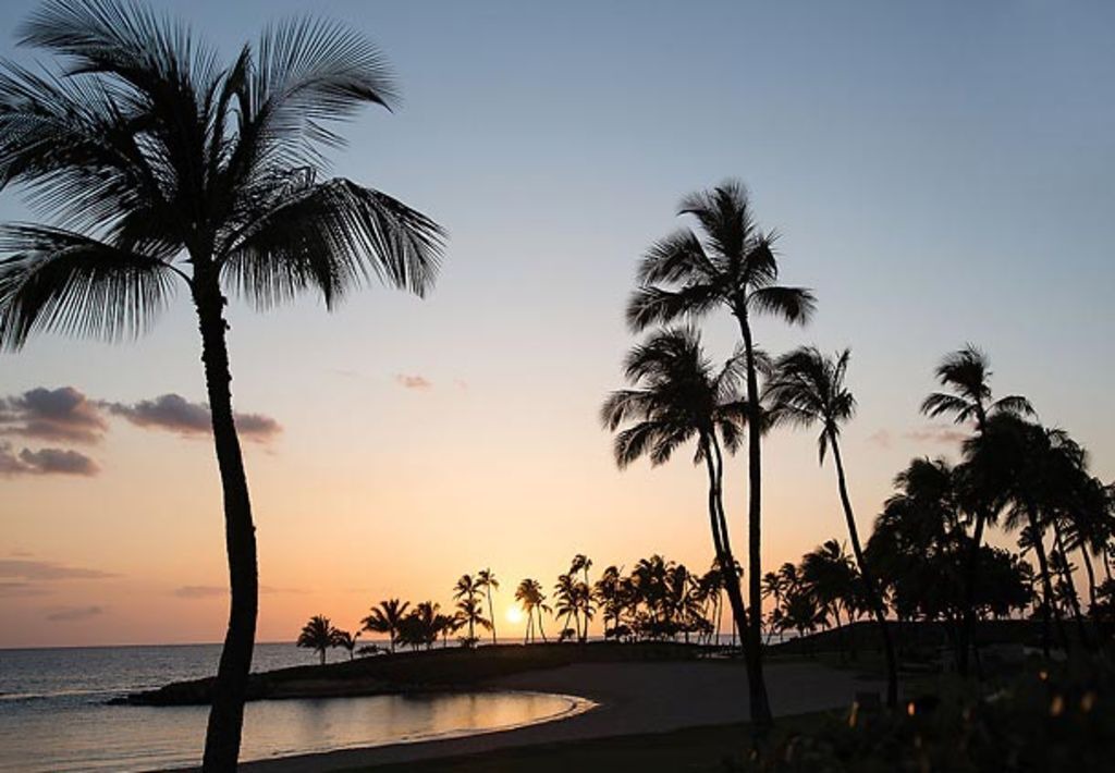 Photo of Others in Ko Olina