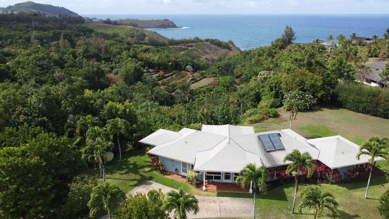 Photo of Outdoor in Kilauea