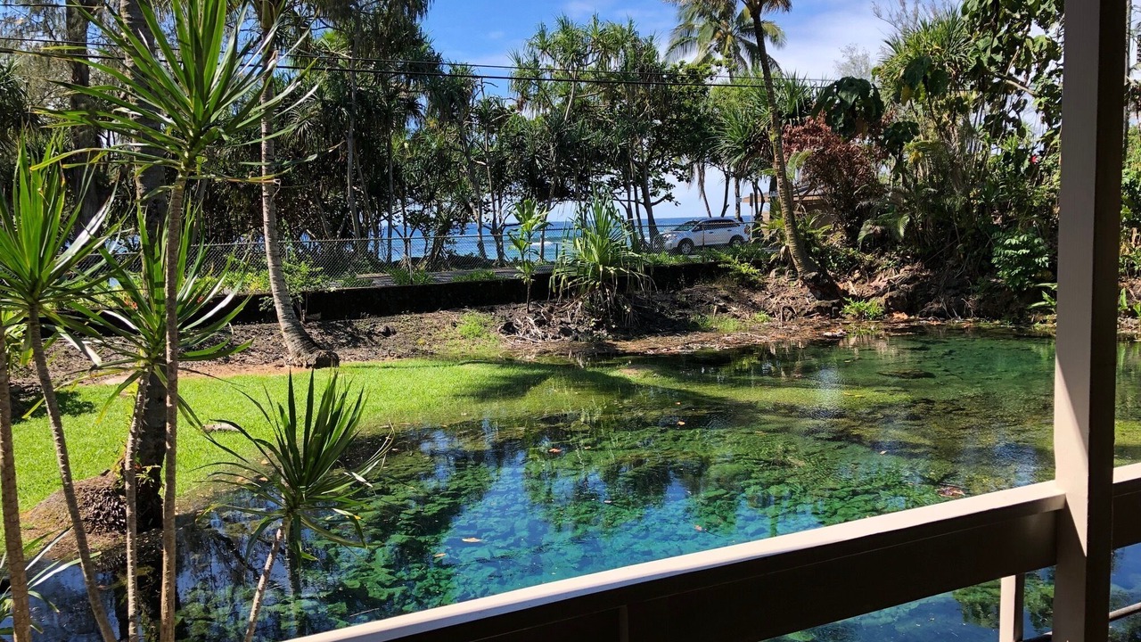Photo of Others in Hilo