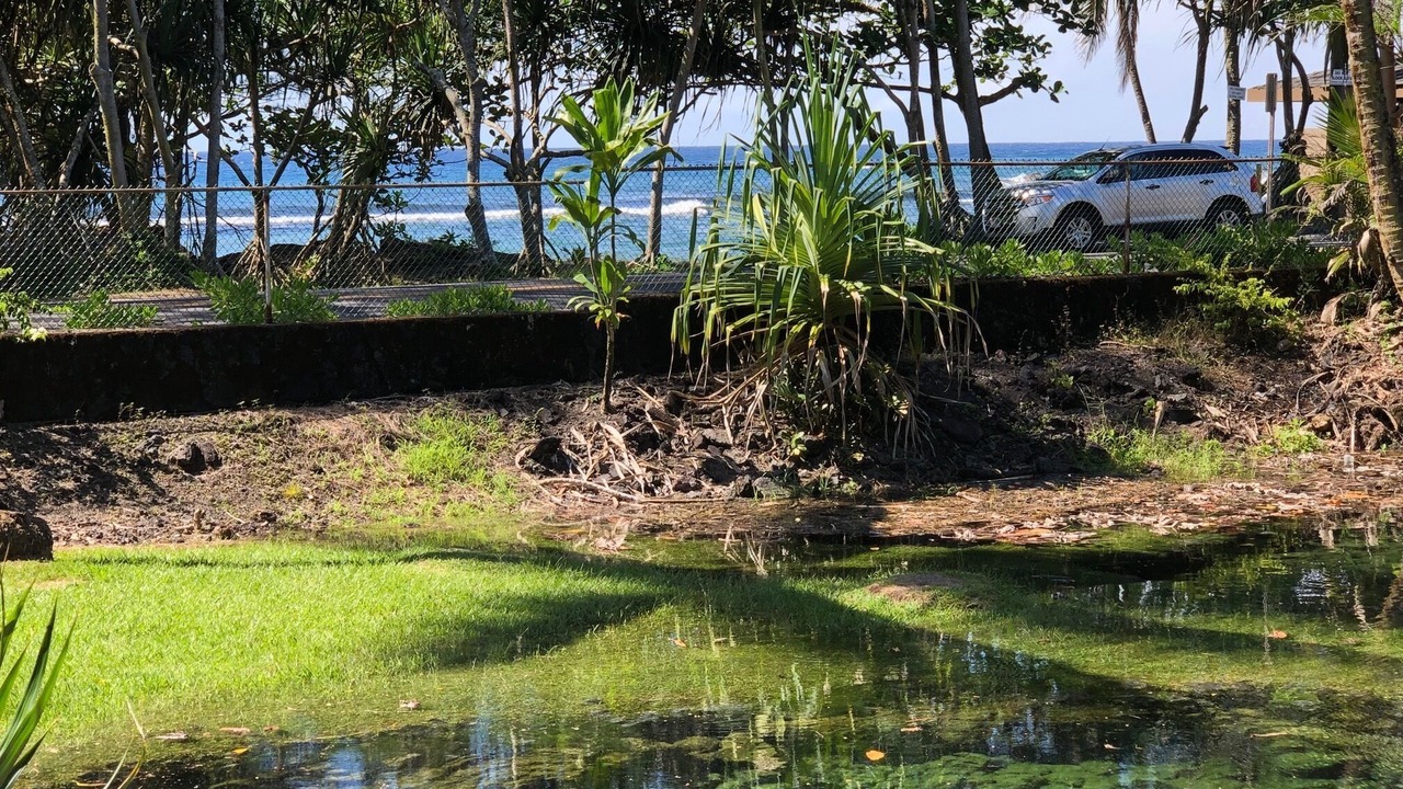 Photo of Outdoor in Hilo