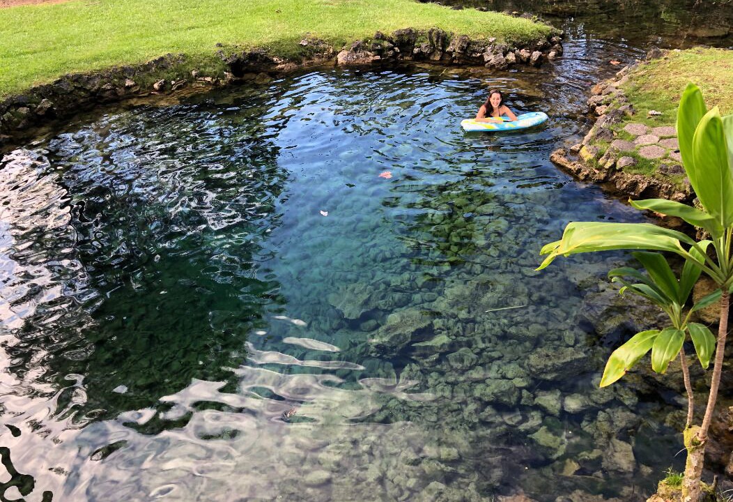 Photo of Others in Hilo