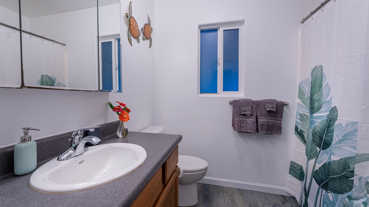 Photo of Bathroom in Volcano