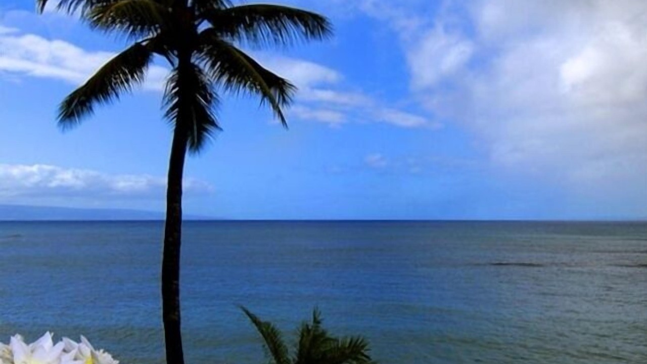 Photo of Bedroom in Kahana