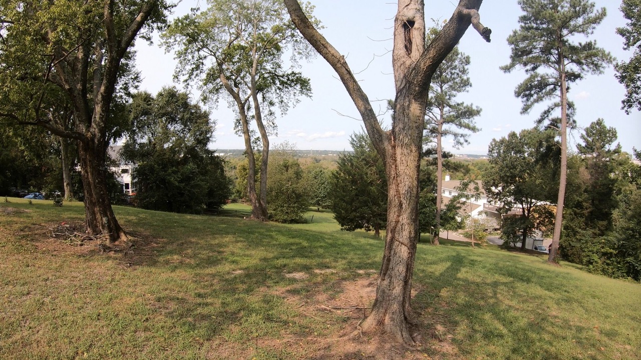 Photo of Outdoor in Mosby