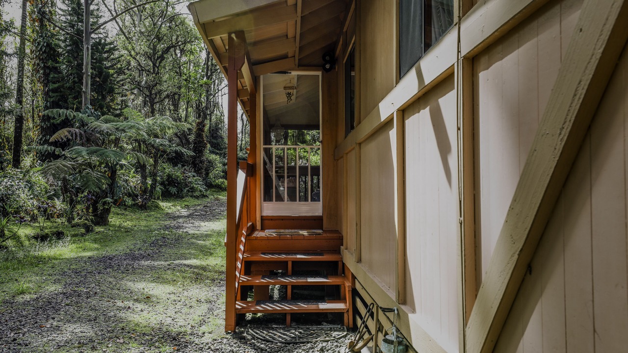 Photo of Outdoor in Fern Acres