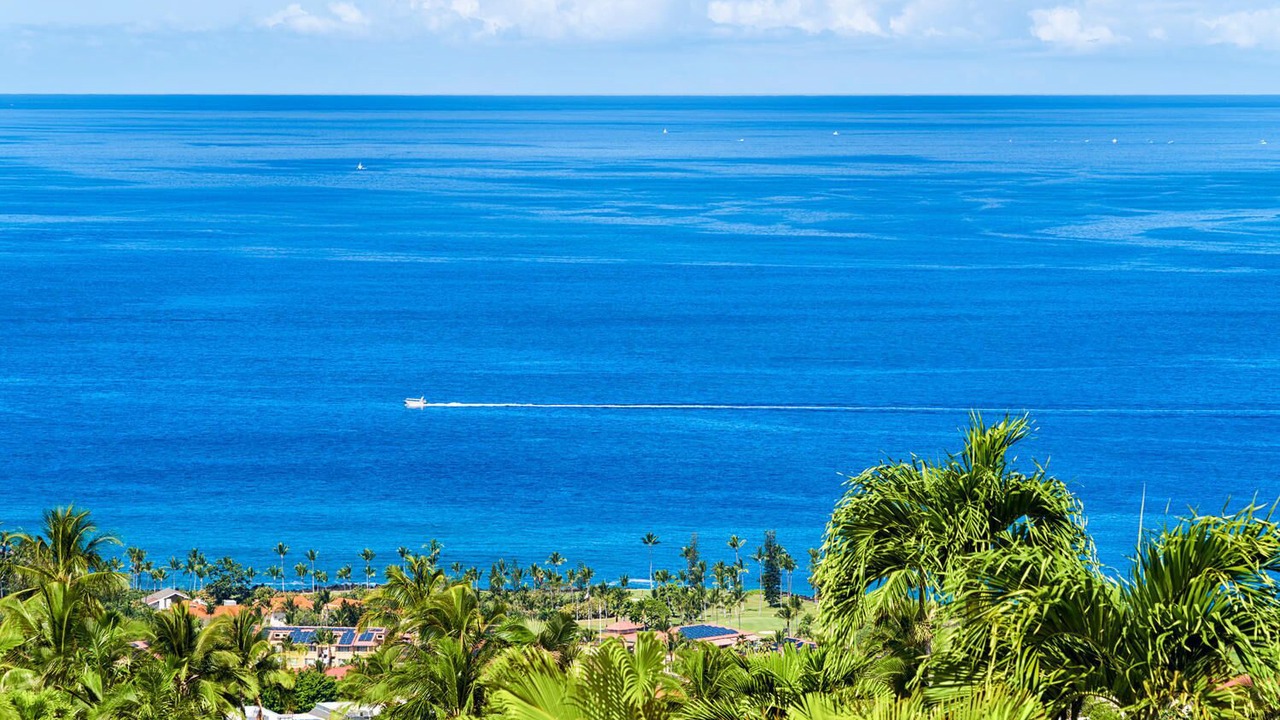 Photo of Others in Kahaluu-Keauhou