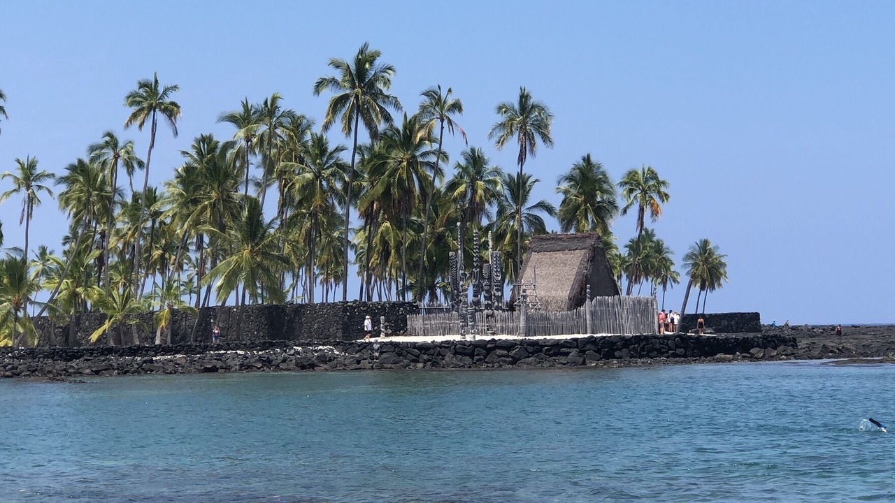 Photo of Others in Kona Palisades