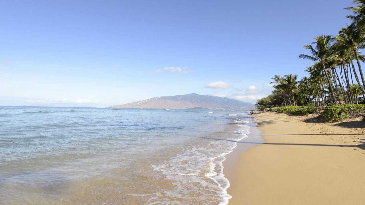 Photo of Others in Kihei