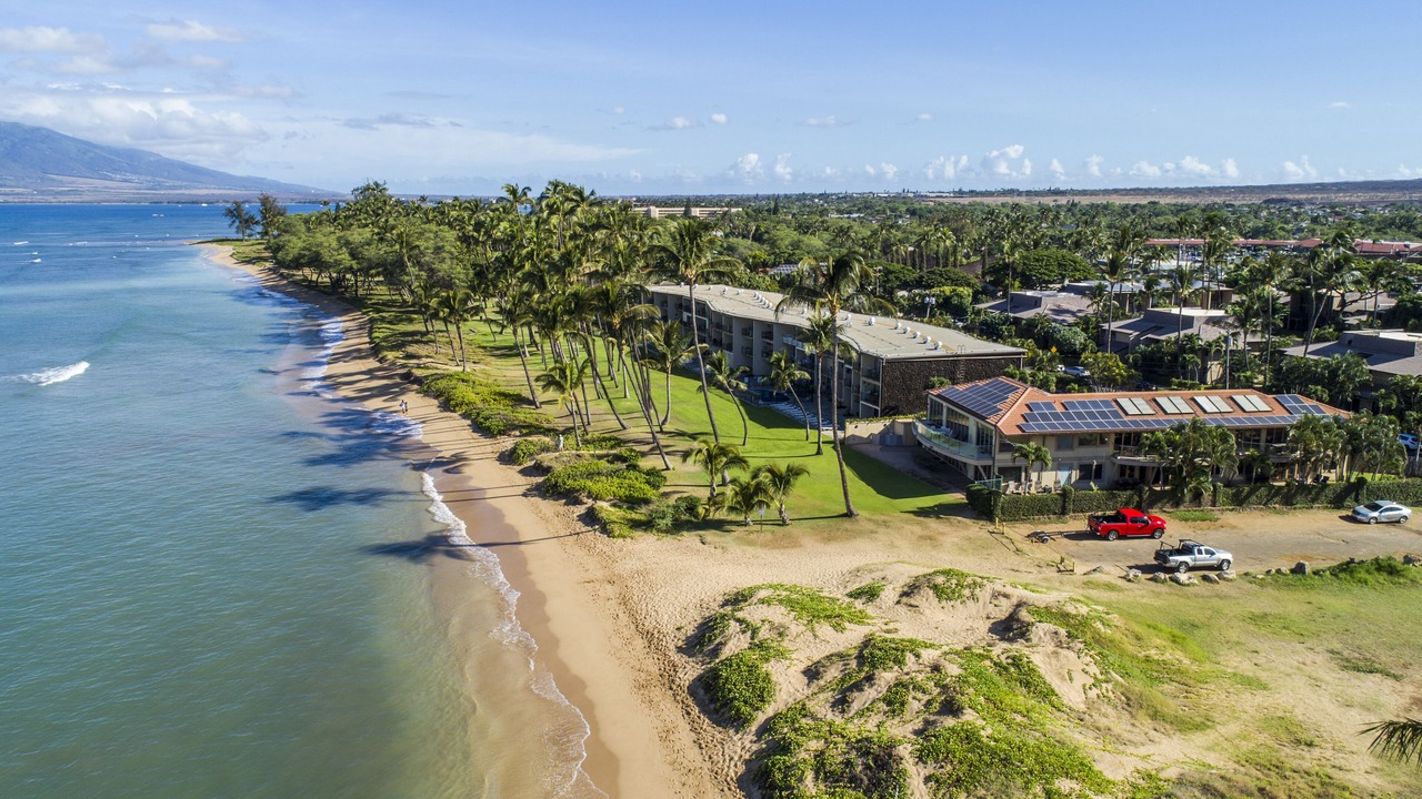 Photo of Others in Kihei