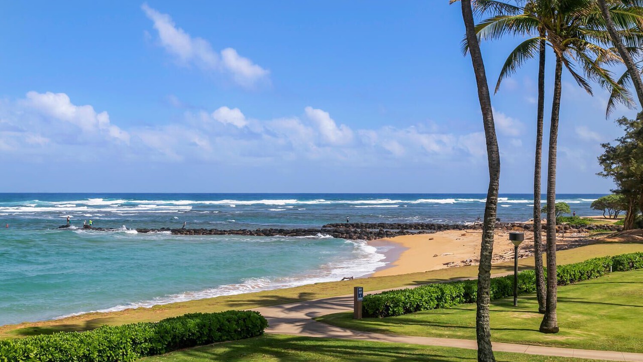 Photo of Others in Kapaa